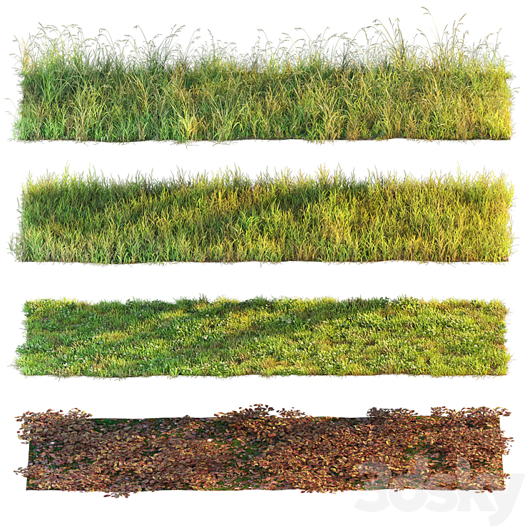 SET OF GRASS AND LEAVES 