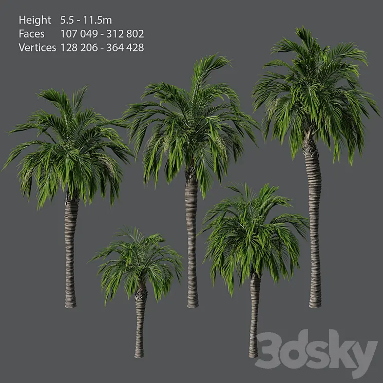 SET OF PALM TREES 