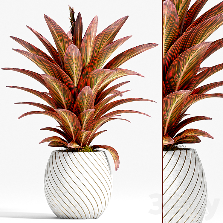 PLANT 74 