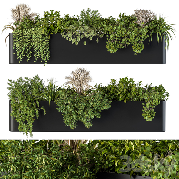 PLANT BOX ON WALL 04 