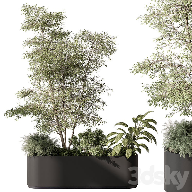 PLANT BOX OUTDOOR PLANTS 515 