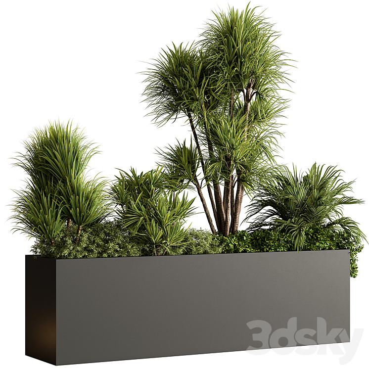 PLANT BOX OUTDOOR PLANTS 580 