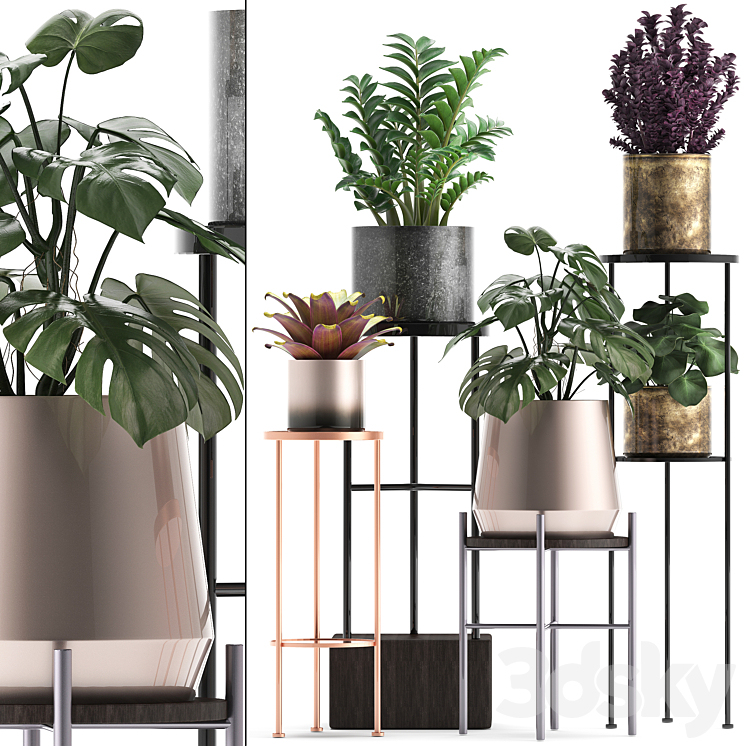 PLANT_COLLECTION_286_FLOWER_SHELF_POT_MONSTERA_BROMELIAD_ZAMIOCULCAS 