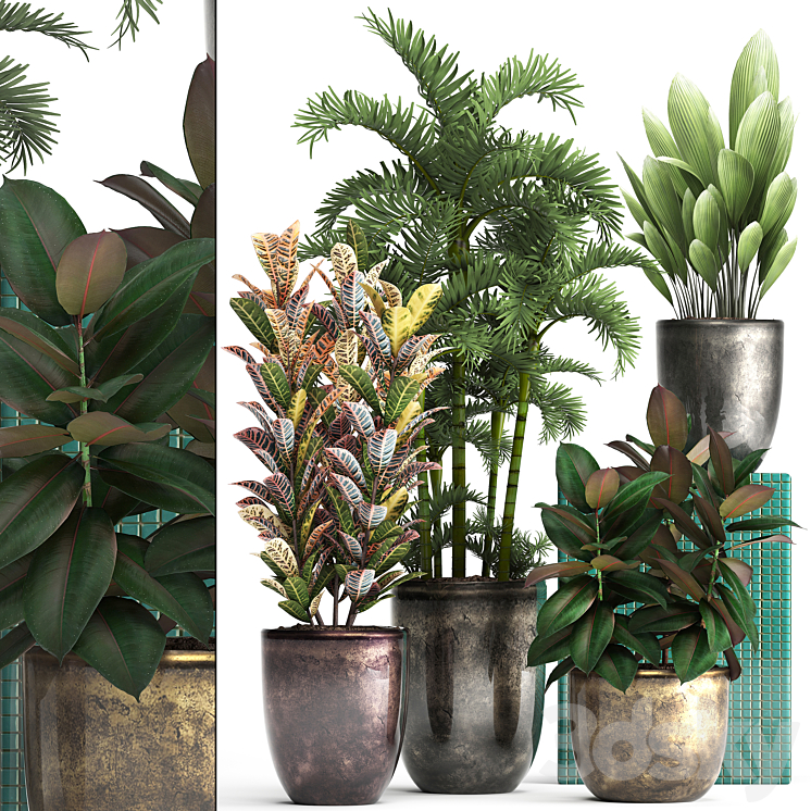 PLANT_COLLECTION_353_LUXURY_POT_FLOWERPOT_INDOOR_PLANTS_CROTON_PALM 