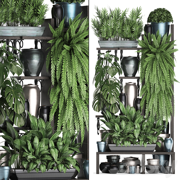 PLANT_COLLECTION_371_SHELF_WITH_FLOWERS_FICUS_LYRATA_MONSTERA_FLOWERPOT 