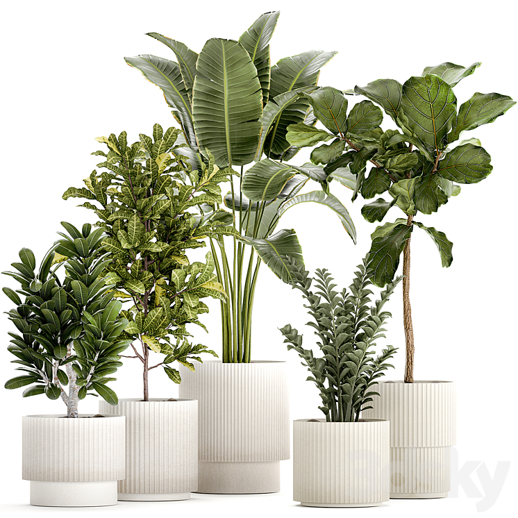 PLANT COLLECTION 1407 