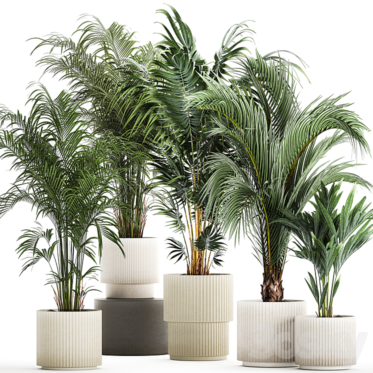 PLANT COLLECTION 1408 