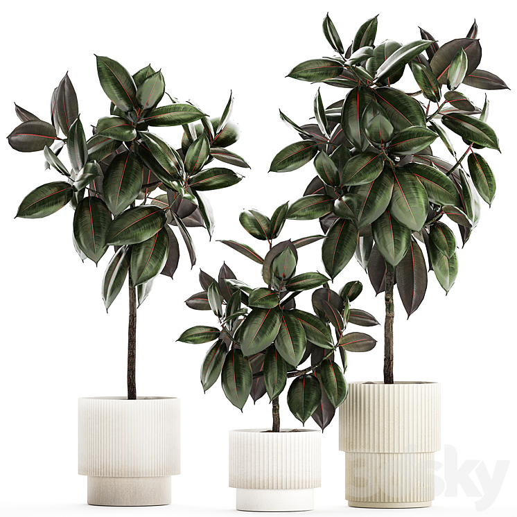 PLANT COLLECTION 1432 