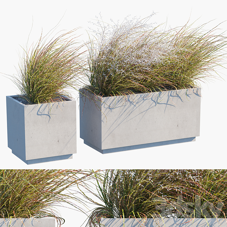 PLANT IN POTS # 27 WIND BLOWS 