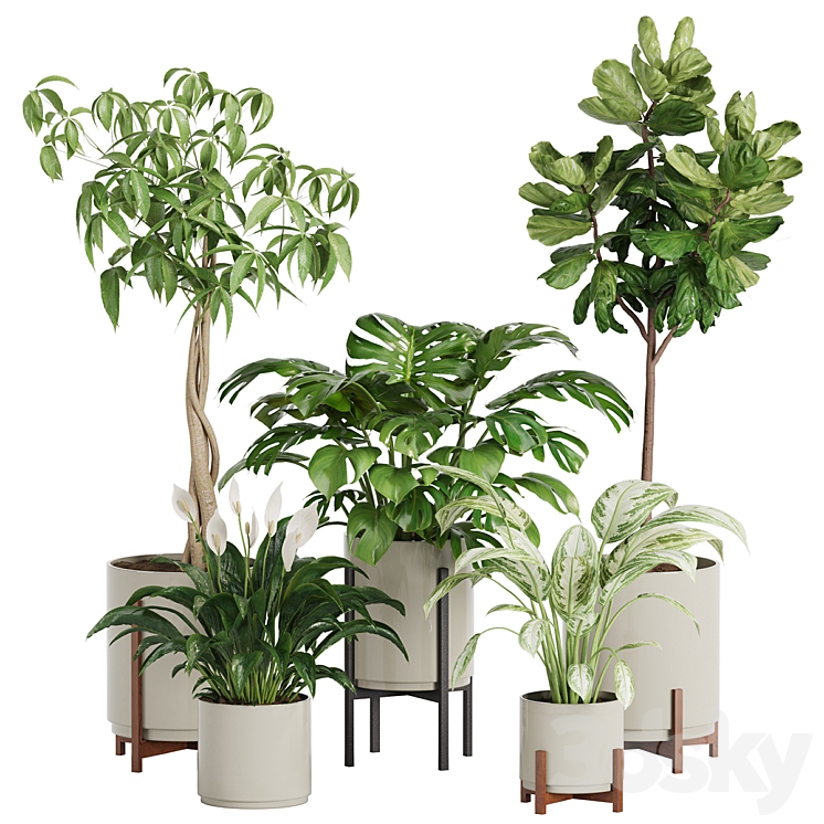 PLANT IN POTS SET 03 