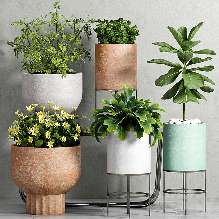 PLANT SET 81 