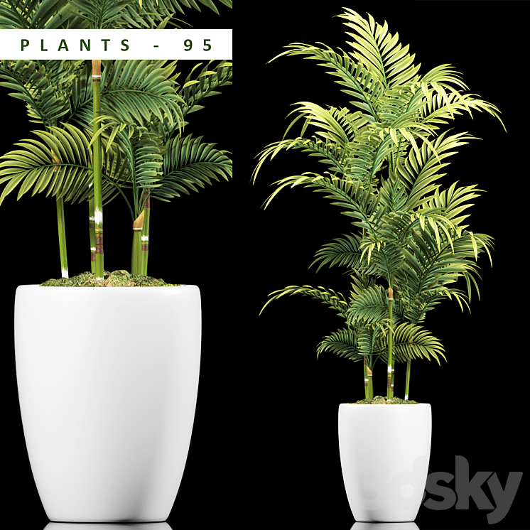 PLANTS 95 