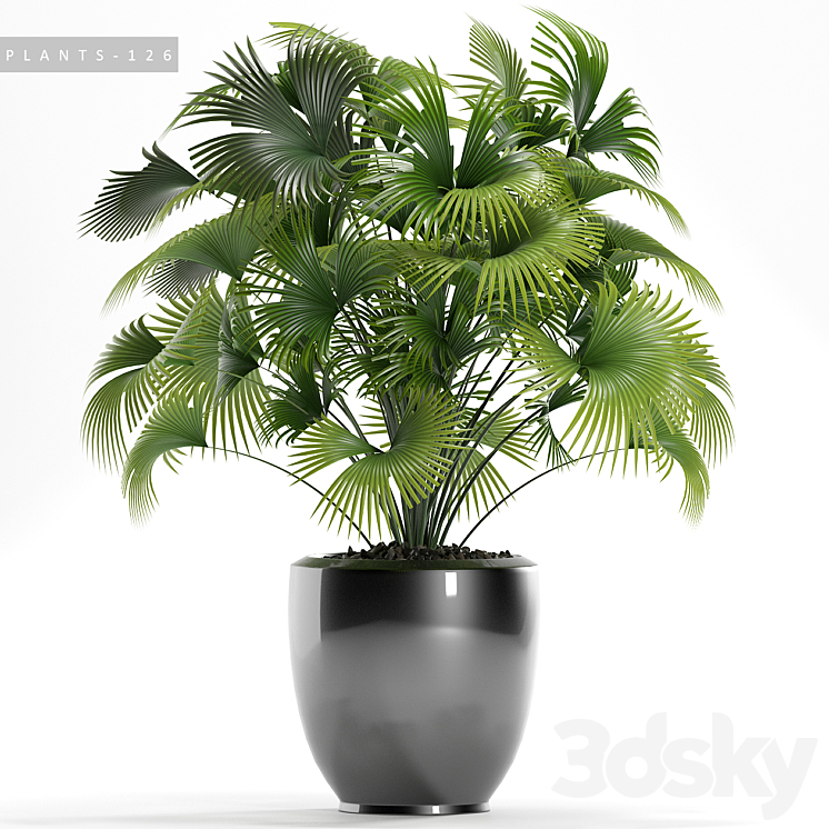 PLANTS 126 