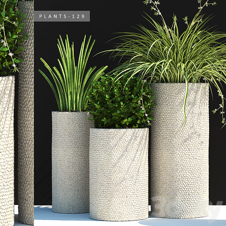 PLANTS 129 