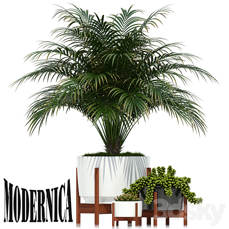 PLANTS COLLECTION 68 MODERNICA POTS 
