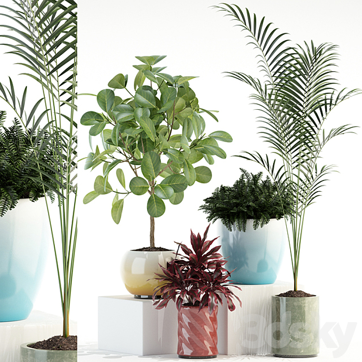 PLANTS COLLECTION 92 