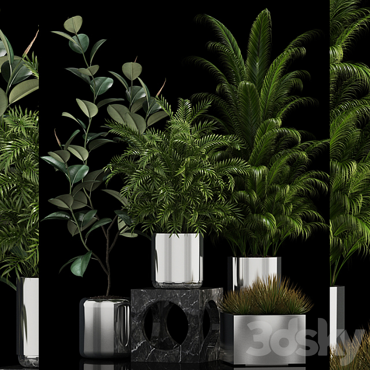 PLANTS COLLECTION 106 