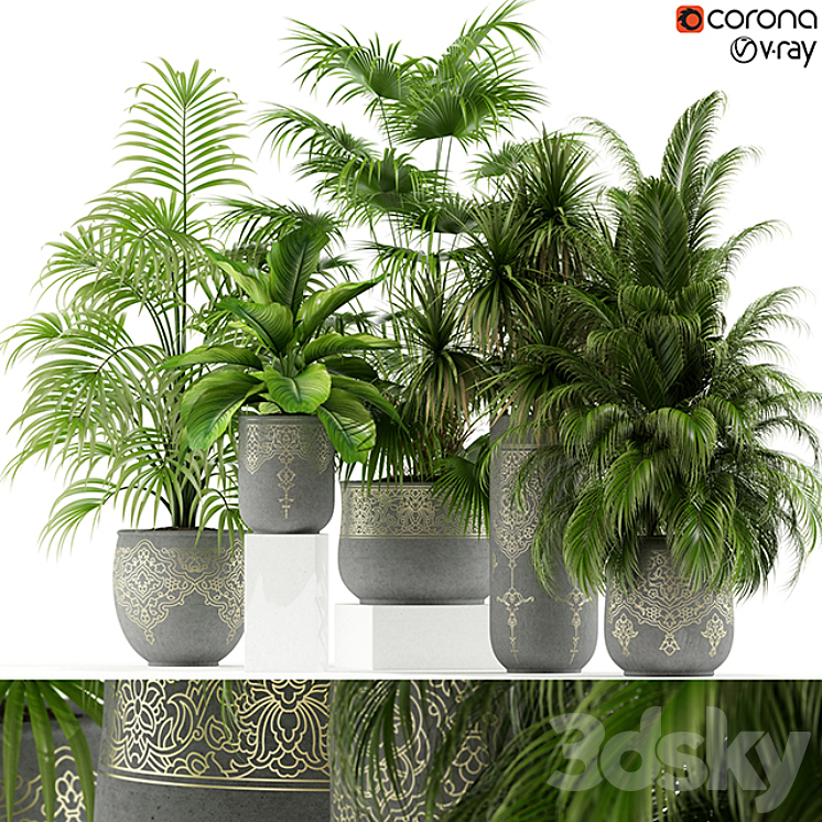 PLANTS COLLECTION 147 HANDMADE POTS EAST STYLE 
