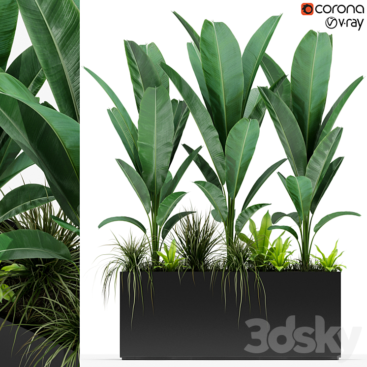 PLANTS COLLECTION 150 