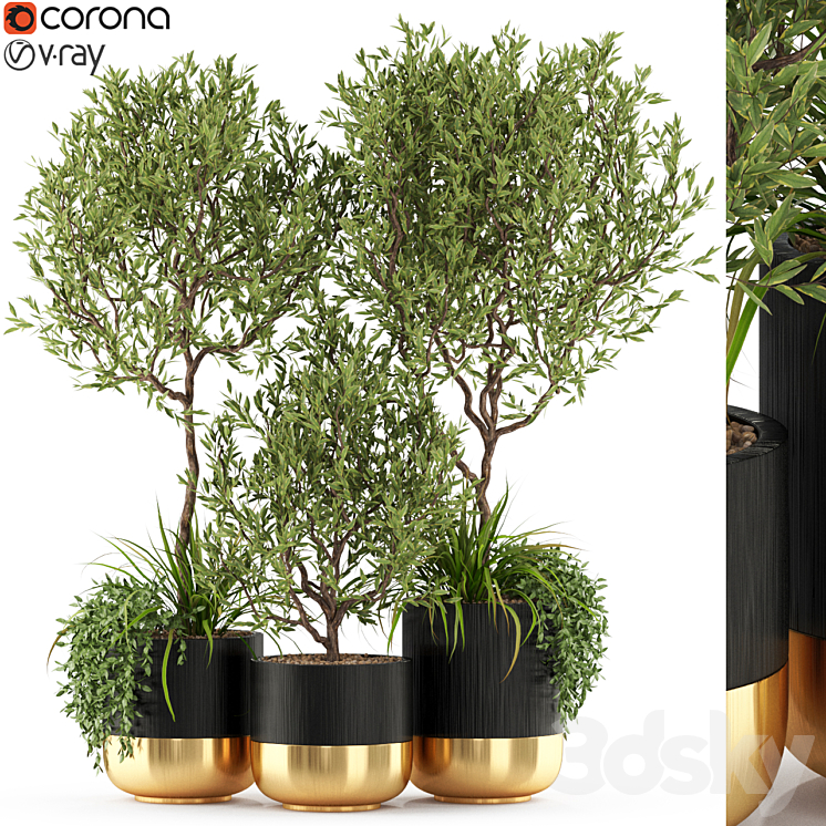 PLANTS COLLECTION 494 