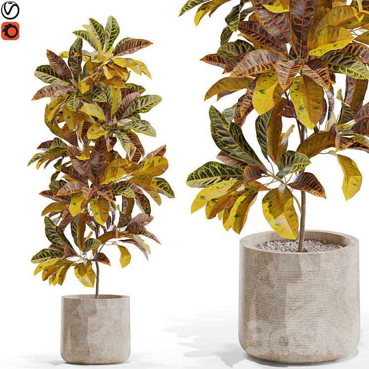 PLANTS COLLECTION 557 