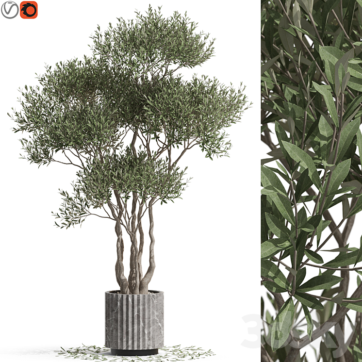 PLANTS COLLECTION 723 