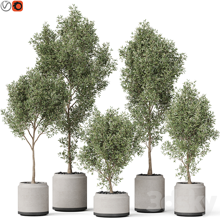 PLANTS COLLECTION 846 