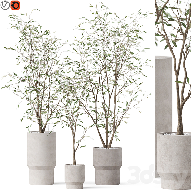 PLANTS COLLECTION 900 