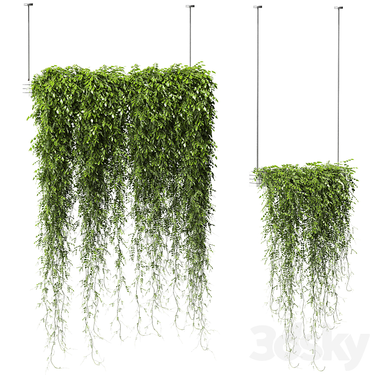 PLANTS IN HANGING PLANTERS V2 2 MODELS 