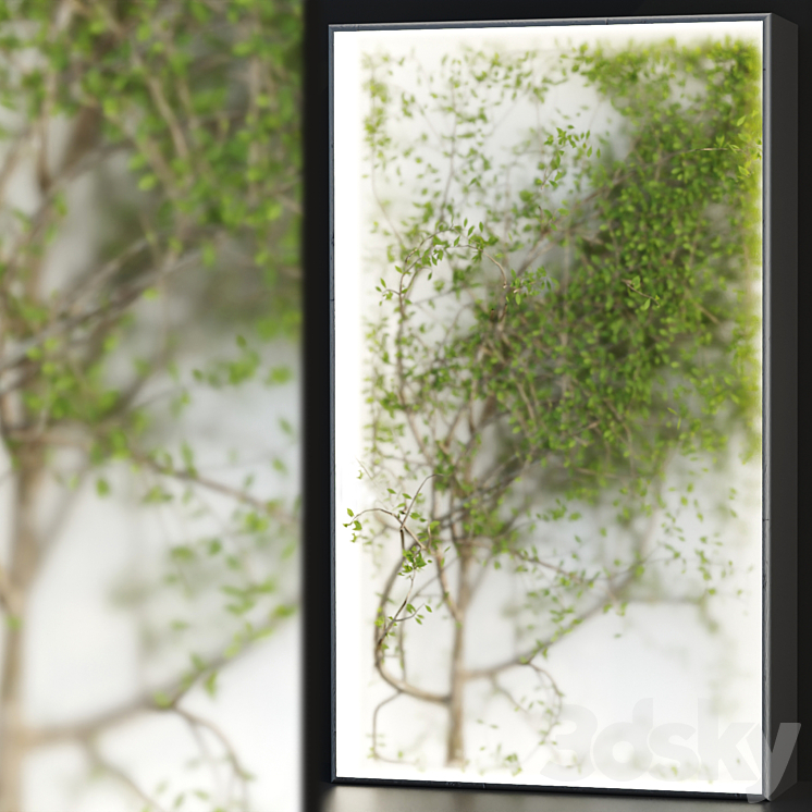 PLANTS IN THE LIGHT BOX VOL 176 