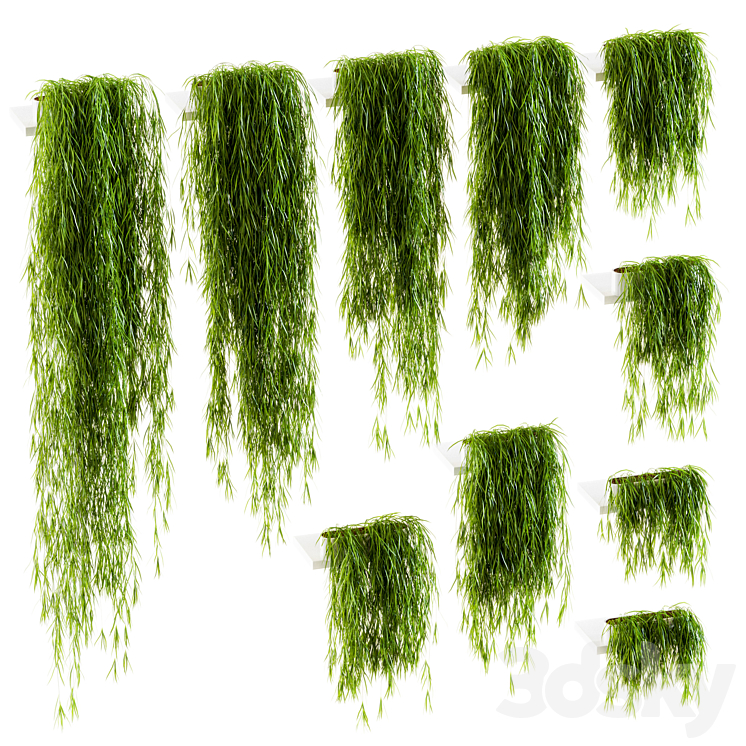 PLANTS ON THE SHELVES 10 MODELS 