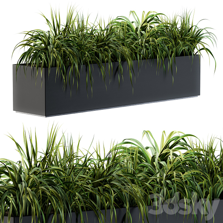 RANCH GRASS PLANTS IN BOX OUTDOOR SET 63 