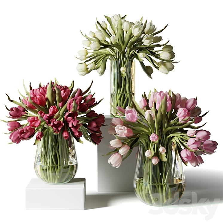 RED PINK AND WHITE TULIPS IN GLASS VASES 