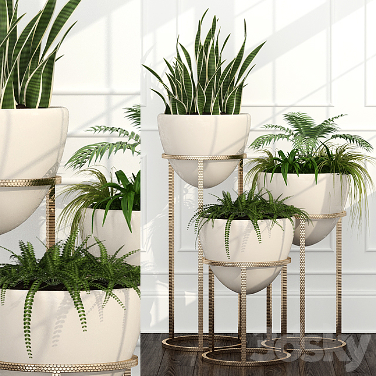 ROOM PLANTS 14 
