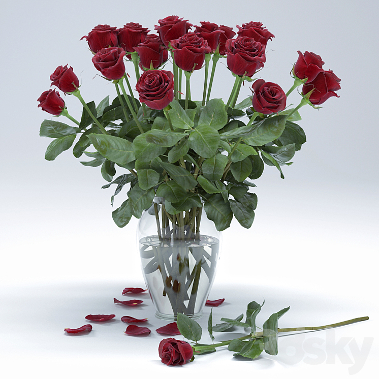 ROSES 