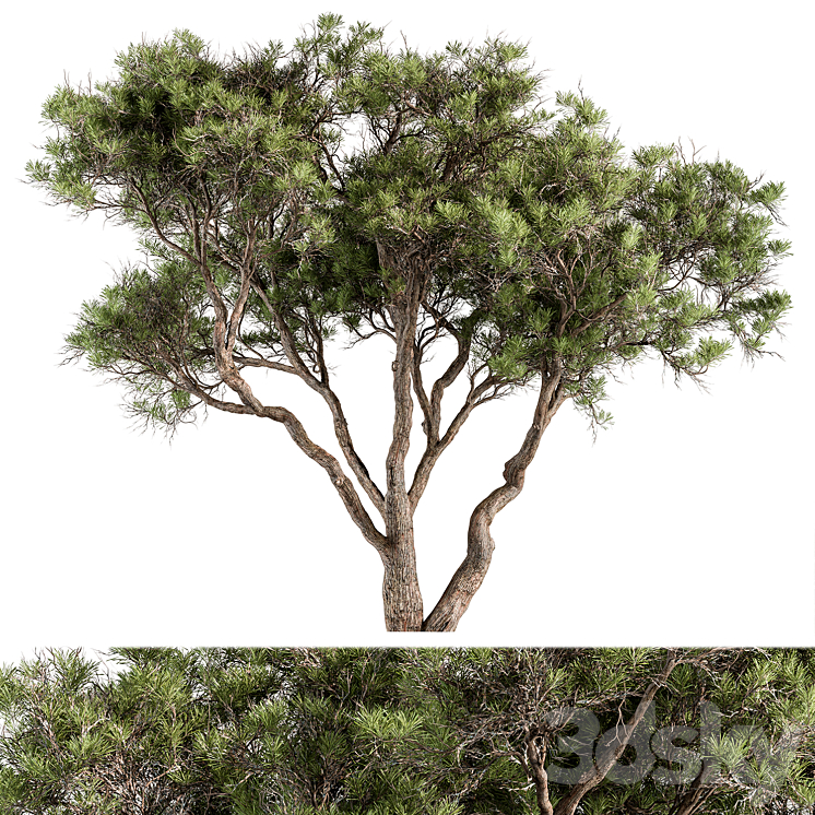 STONE PINE TREE SET 190 