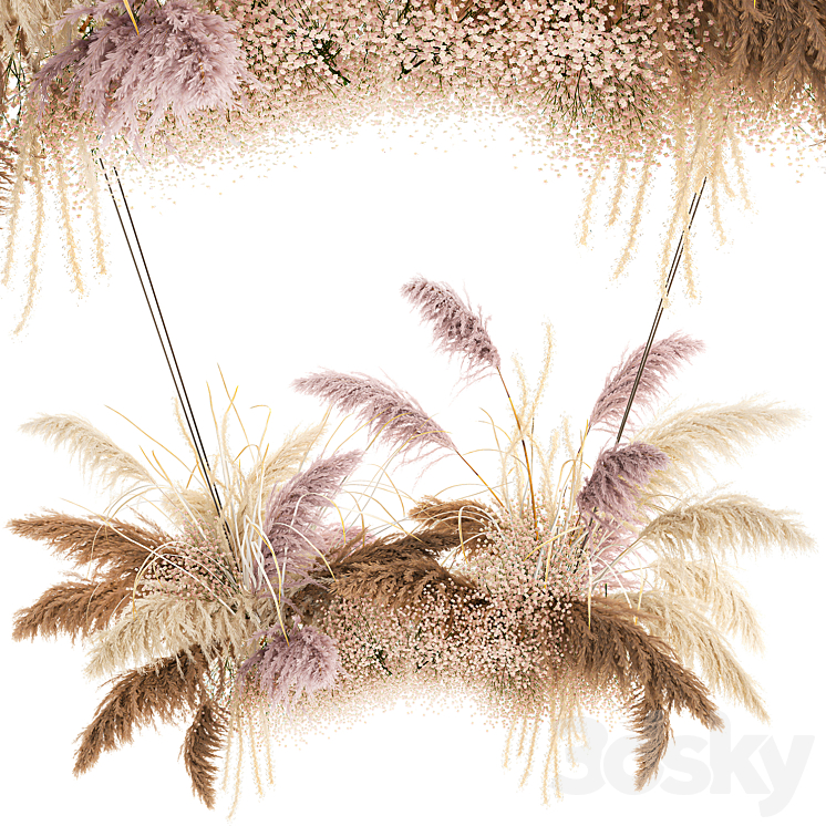 SUSPENDED_INSTALLATION_OF_DRIED_FLOWERS_FROM_PAMPAS_PAMPAS_GRASS 