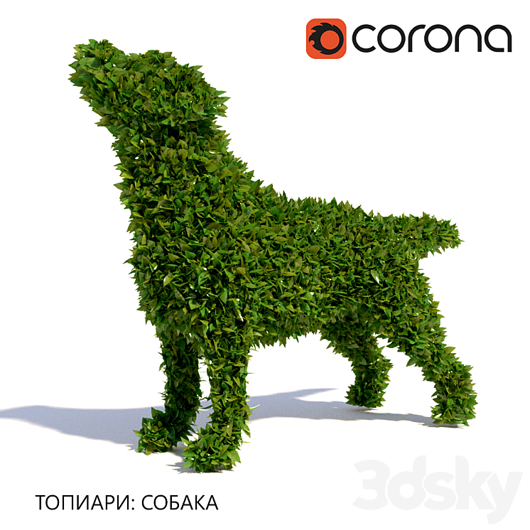 TOPIARY DOG 