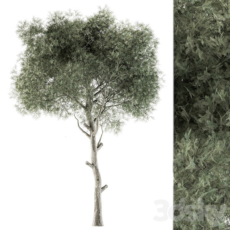 TREE GREEN NEEDLE SET 63 