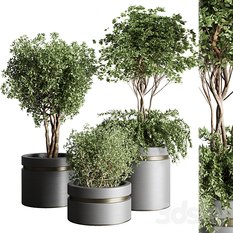 TREE_POTS_AND_SHRUBS_BUSH_COLLECTION_74_METAL_VASE_FOR_OUTDOOR_INDOOR 
