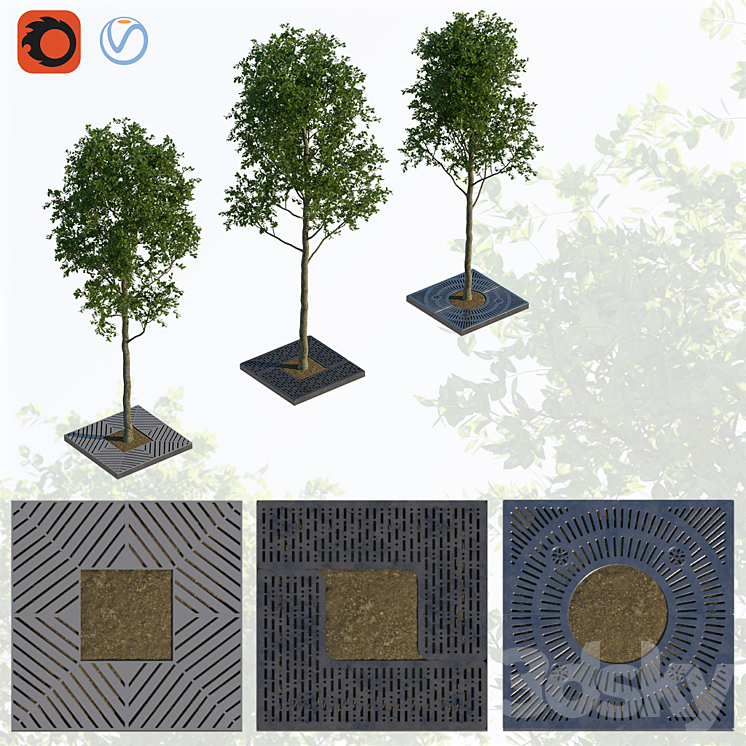 TREES AND LATTICE 