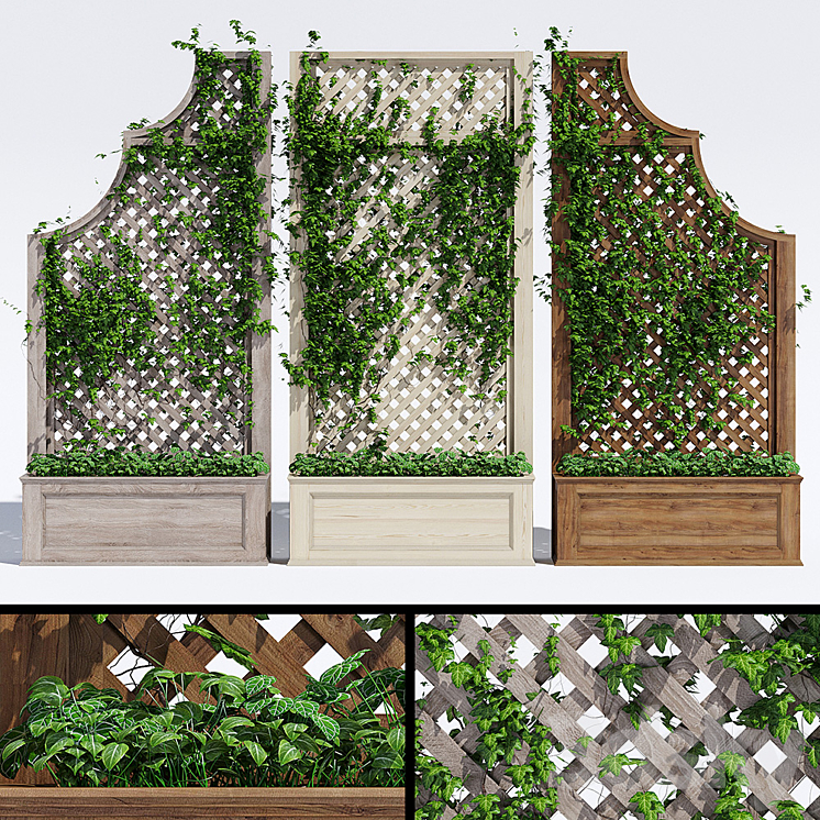 TRELLISES 
