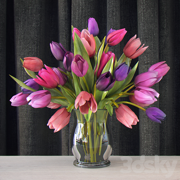 TULIPS 