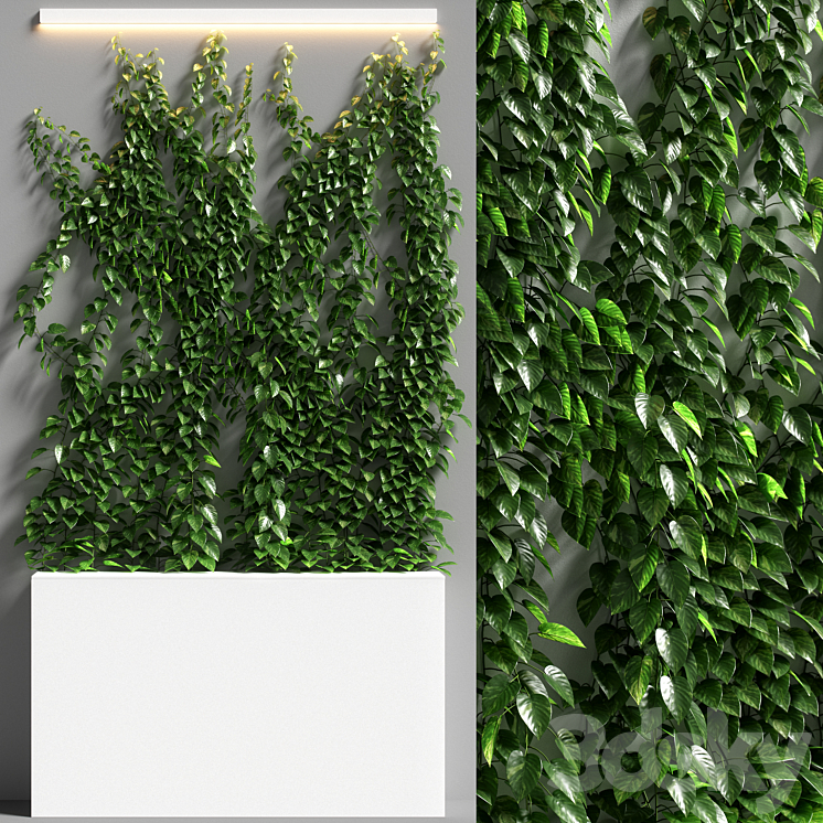 VERTICAL GARDEN 08 