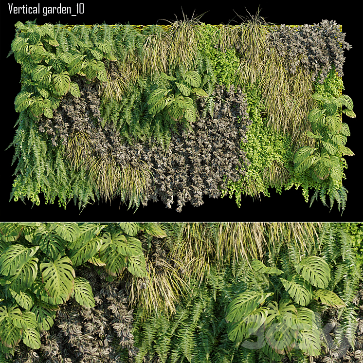 VERTICAL GARDEN 10 