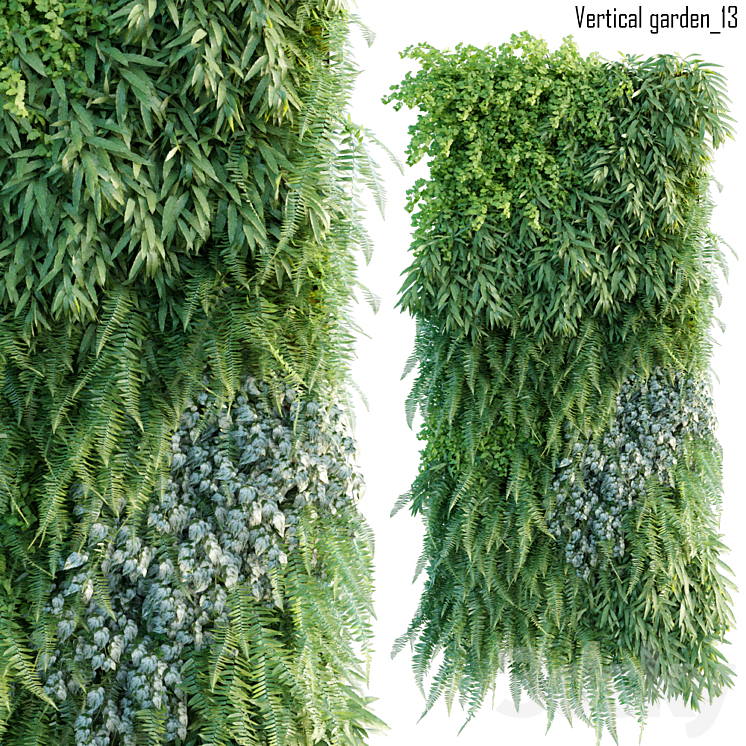 VERTICAL GARDEN 13 