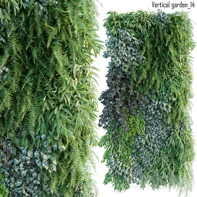 VERTICAL GARDEN 14 