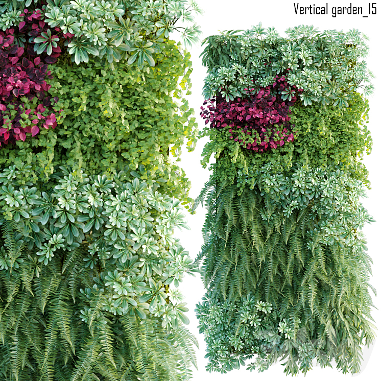 VERTICAL GARDEN 15 