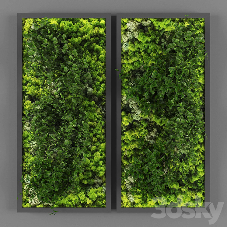 VERTICAL GARDEN 062 