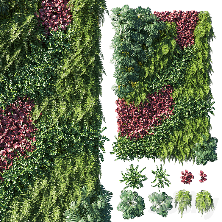 VERTICAL GARDEN GREEN WALL 04 